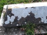 image of grave number 629441
